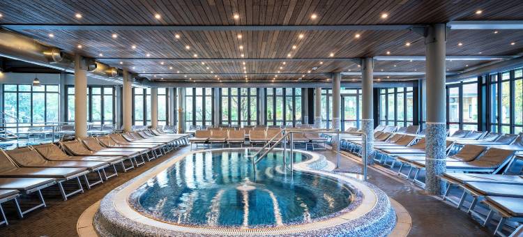 佩特阿卡温泉酒店(Hotel Petrarca Terme)图片