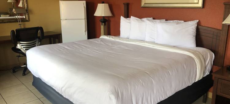 北港美洲佳值套房酒店(Americas Best Value Inn and Suites North Port)图片