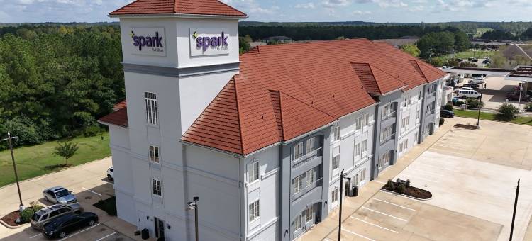 希尔顿布兰登 Spark 酒店(Spark by Hilton Brandon)图片