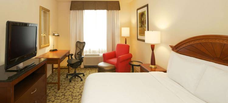 弗吉尼亚镇中心希尔顿花园海滩酒店(Hilton Garden Inn Virginia Beach Town Center)图片