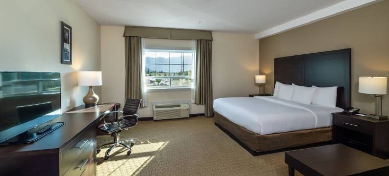 舒适套房酒店(Comfort Inn & Suites)图片