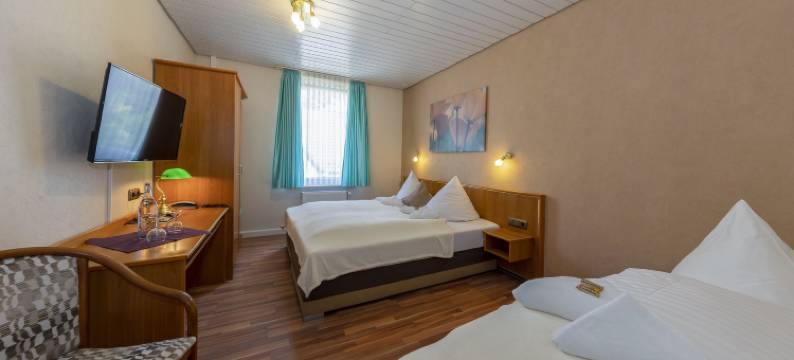 祖姆尼斯特泰乡村酒店(Landhotel Zum Niestetal)图片