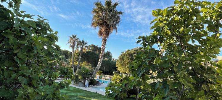 冒险距离家庭旅馆(Escapades Lointaines)图片