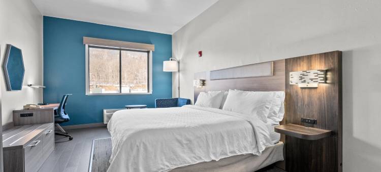 西点福特蒙哥马智选假日套房酒店(Holiday Inn Express & Suites West Point-Fort Montgomery)图片