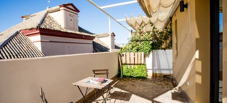 塞维利亚黑天鹅青年旅馆(Black Swan Hostel Sevilla)图片
