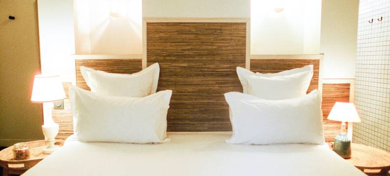 巴黎习惯性酒店(Hotel Habituel)图片