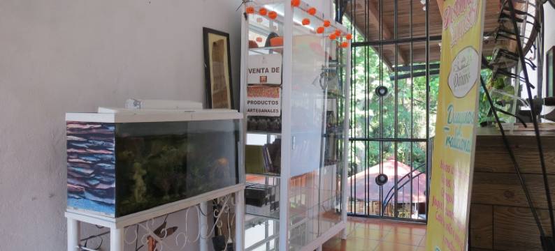 科马拉泊沙达酒店(Hotel Posada Comala)图片