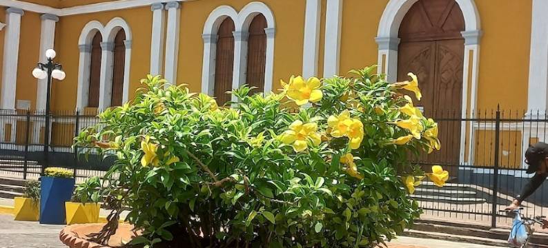 卡萨巴塞罗那酒店(Hotel Casa Barcelona)图片