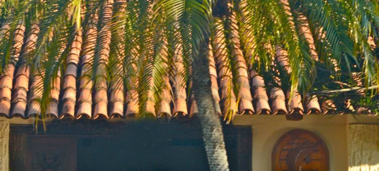 卡波布兰科酒店和海湾(Cabo Blanco Hotel and Marina)图片