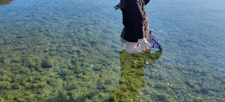 安东达苏基露营酒店(Andong Dasulki Camp)图片