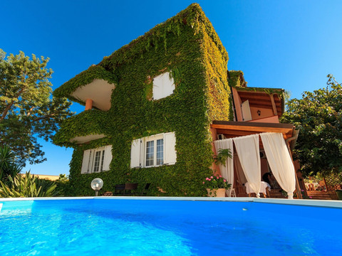 蓝花楹花园酒店