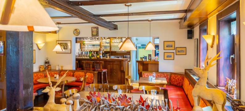 希尔施高登纳酒店(Hotel Goldener Hirsch)图片