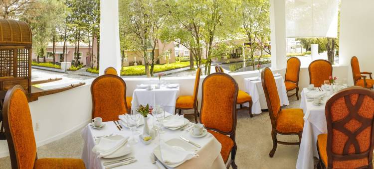 普耶布拉MM大酒店，希尔顿启缤精选(MM Grand Hotel Puebla, Tapestry Collection by Hilton)图片