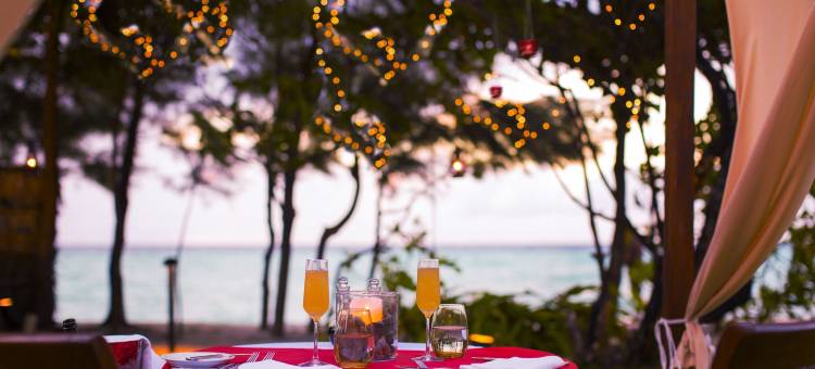 马尔代夫瑞僖敦法鲁玛福斯酒店(The Residence Maldives at Falhumaafushi)图片