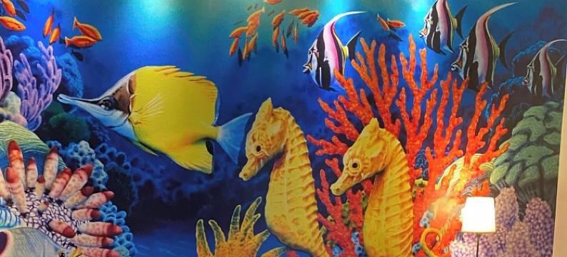 维尔弗洛姆伊酒店(Hôtel la Villefromoy)图片