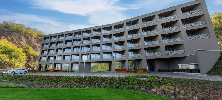 美憬阁托卡伊米纳罗酒店(Minaro Hotel Tokaj  MGallery)图片