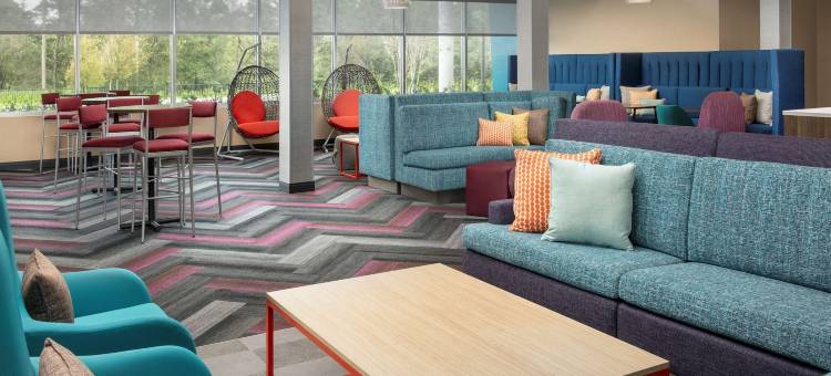 奥兰多会议中心区希尔顿特鲁酒店(Tru by Hilton Orlando Convention Center Area)图片