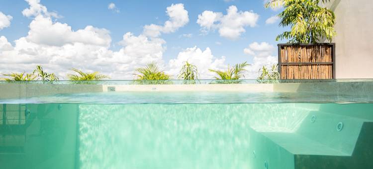 卓越的顶楼公寓，私人屋顶和游泳池，可容纳9位客人(Extraordinary Penthouse, Private Rooftop and Pool, Capacity for 9 Guests)图片