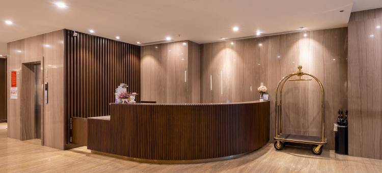日河豪华酒店(NHAT HA LAVISH HOTEL)图片