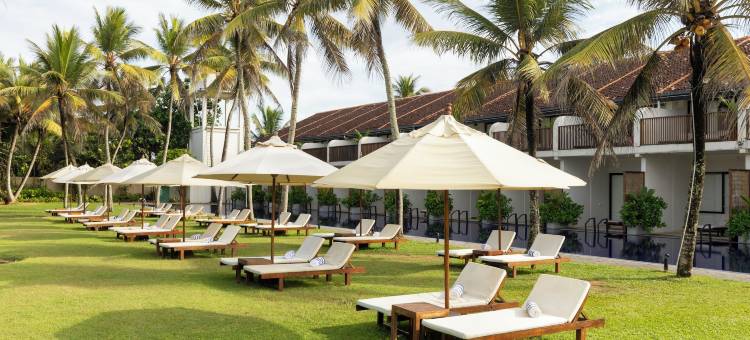 埃克霍冲浪酒店(EKHO Surf Bentota)图片