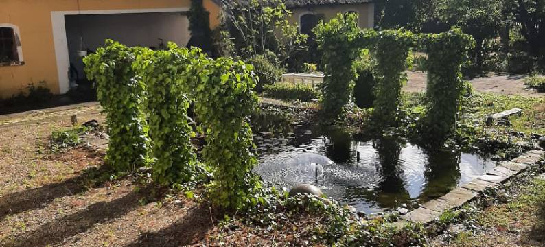 Strandhgården 的 BBB 住宿(Room in BB - Strandhgardens Stay BBB)图片