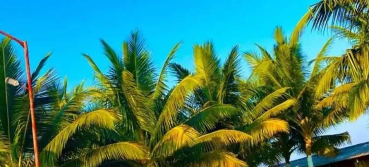 海滩乡村度假村(Beach Village Resort)图片