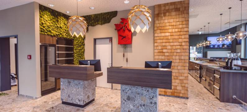 元素纯净自由酒店(Hotel Libertas Elements Pure)图片