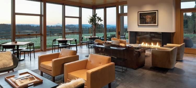 酒店地面(Inn the Ground)图片