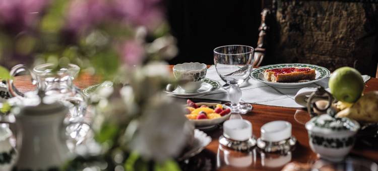 塞内雅克城堡(Château Sénéjac)图片