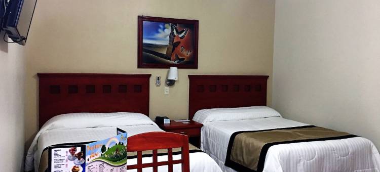 NV 瓜达拉哈拉酒店(Hotel NV Guadalajara)图片