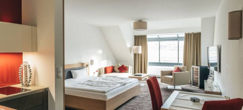 文思领事馆酒店(Consulat des Weins)图片