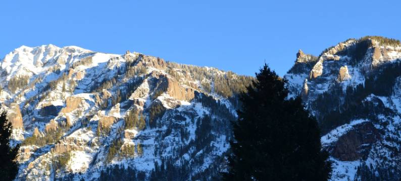 乌雷大街旅馆(The Ouray Main Street Inn)图片