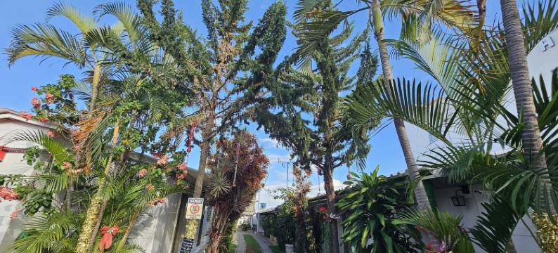 阿拉赫拉酒店(Arahra Hotel)图片