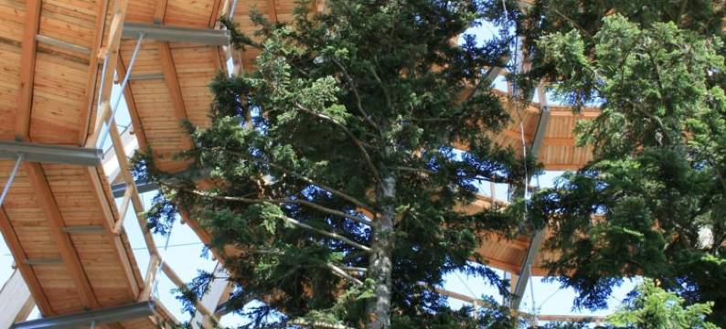 霍厄瑙霍夫公寓酒店(Hotel Landgasthof Hohenauer Hof)图片