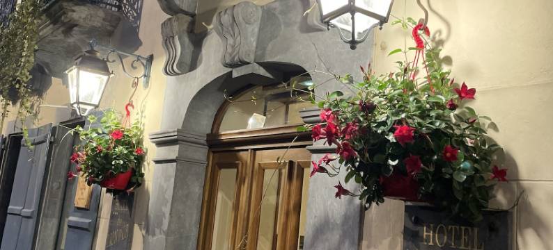 奥莱恩酒店(Hôtel du Lion d'Or)图片