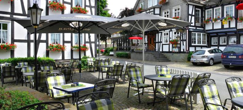 亚伯斯兰德酒店(Landhotel Albers)图片