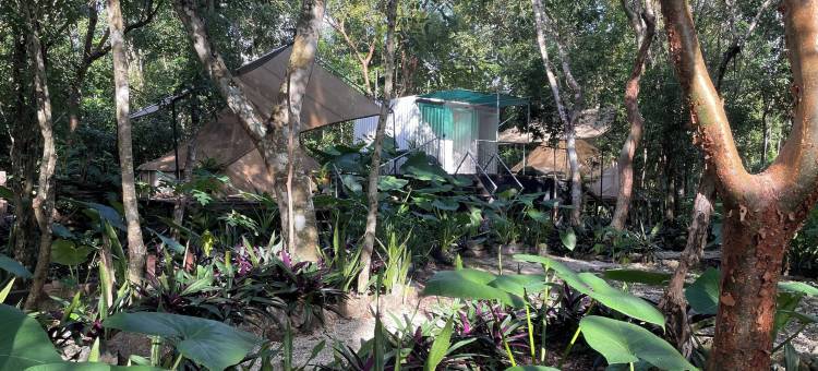 科苏梅尔露天睡眠(Cozumel Glamping)图片