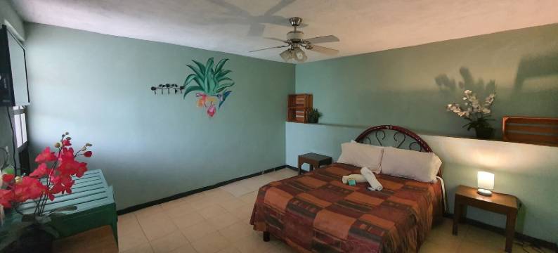 草地兔子青年旅舍(Hierba de Conejo Hostel)图片