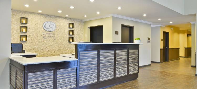 舒适套房酒店-近韦斯特彻斯8号环城路(Comfort Suites near Westchase on Beltway 8)图片