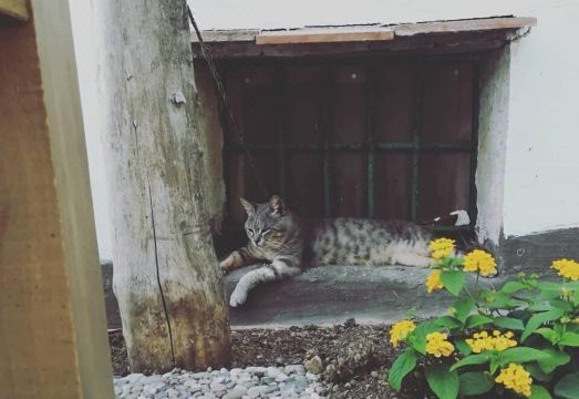 Torre Elisea Hotel Overview