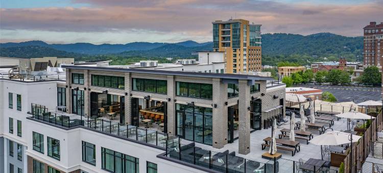希尔顿使馆套房阿什维尔市中心(Embassy Suites by Hilton Asheville Downtown)图片