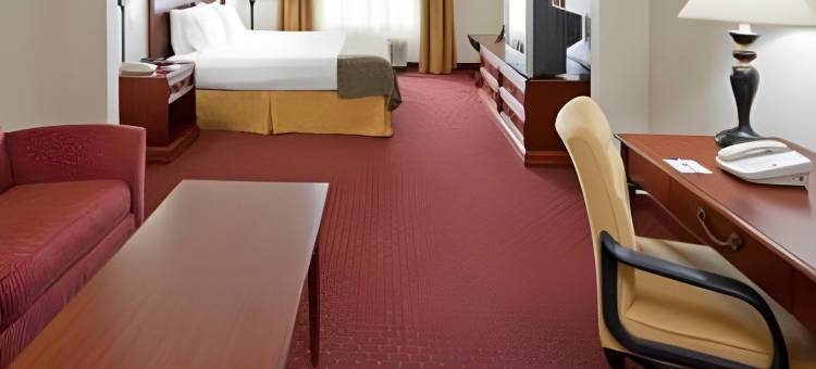 Holiday Inn Express 雪城，展览会场(Holiday Inn Express Syracuse-Fairgrounds)图片