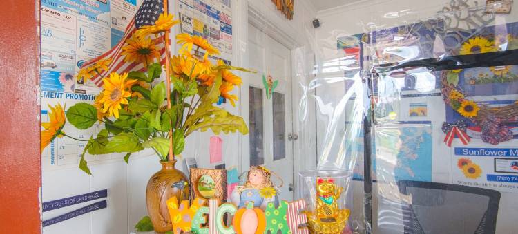 向日葵汽车旅馆海厄瓦萨By OYO(Sunflower Motel Hiawatha by OYO)图片