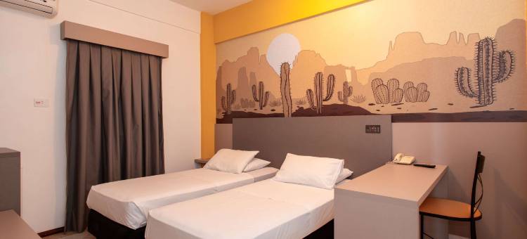 宜必思尚品普鲁登特总统城酒店，西部门户(Ibis Styles Presidente Prudente Portal d'Oeste)图片