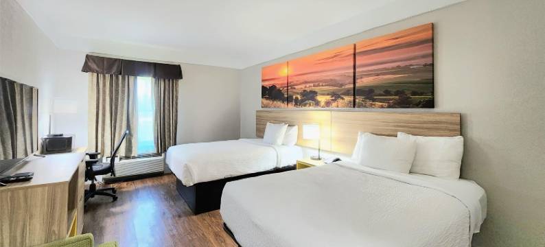 德纳姆泉-东巴吞鲁日戴斯酒店(Days Inn by Wyndham Denham Springs-Baton Rouge East)图片