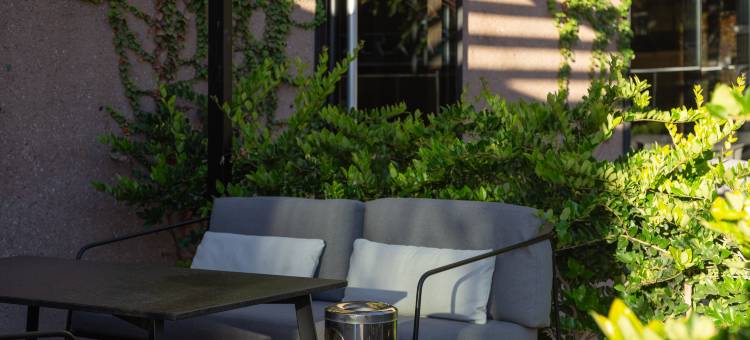 门多萨希尔顿格芮精选酒店(Hualta Hotel Mendoza, Curio Collection by Hilton)图片