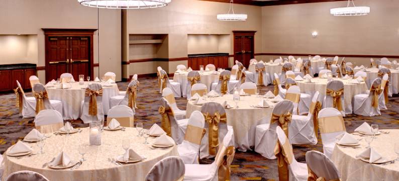 底特律迪尔伯恩希尔顿逸林酒店(DoubleTree by Hilton Detroit - Dearborn)图片