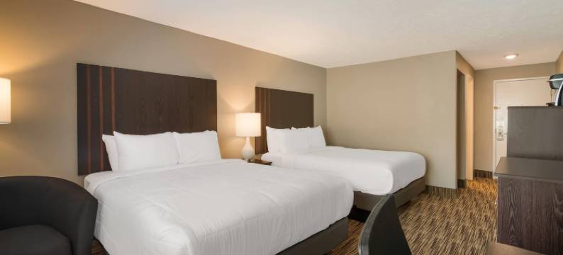 品质酒店及套房(Quality Inn & Suites)图片