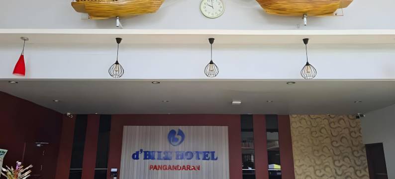 迪比尔兹酒店(D'Bilz Hotel)图片