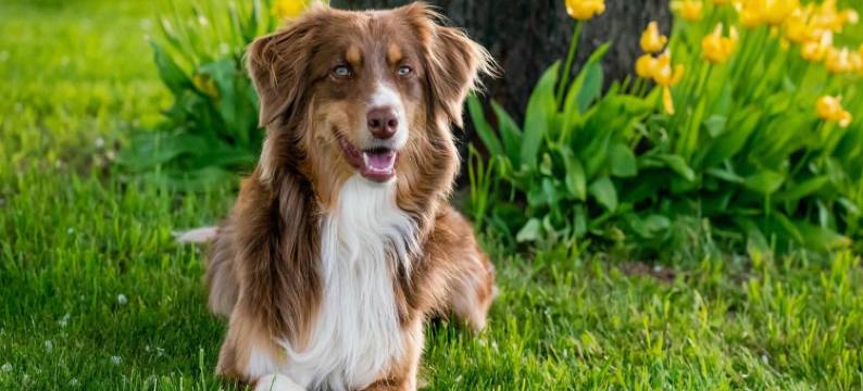 Holiday Home in Puygareau near Poitiers图片